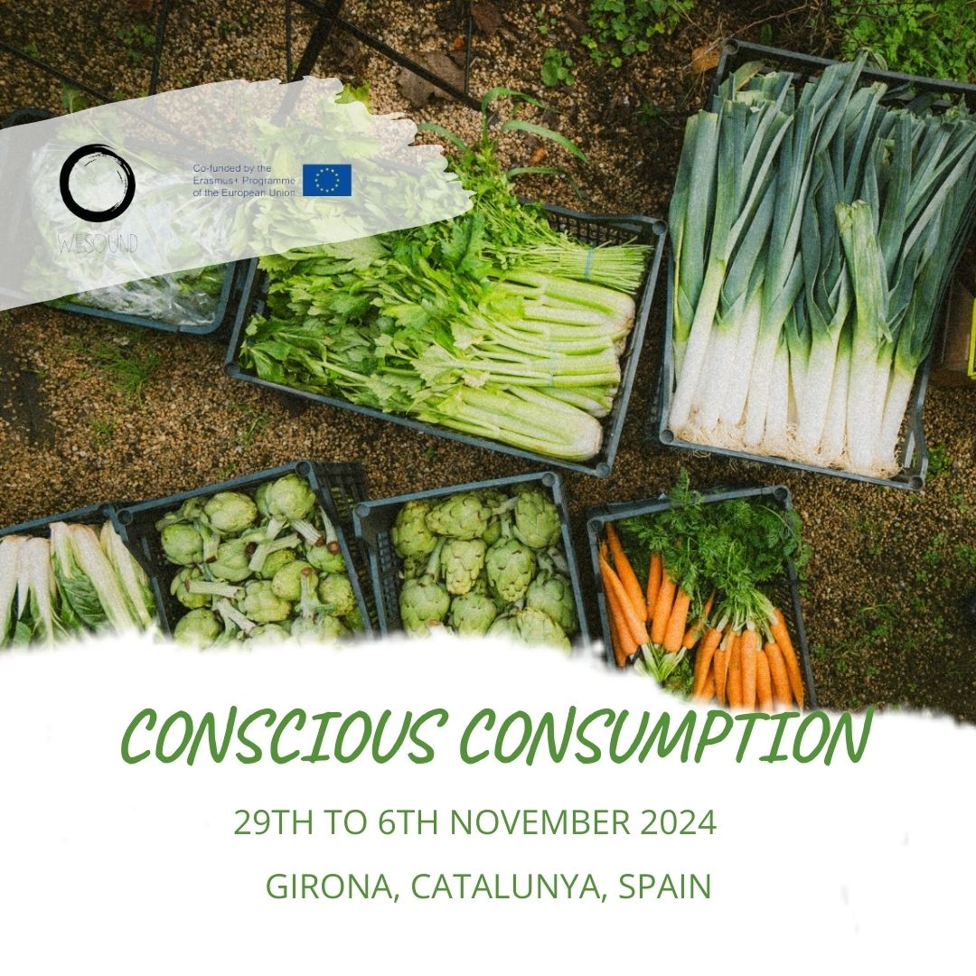 Conscious Consuption