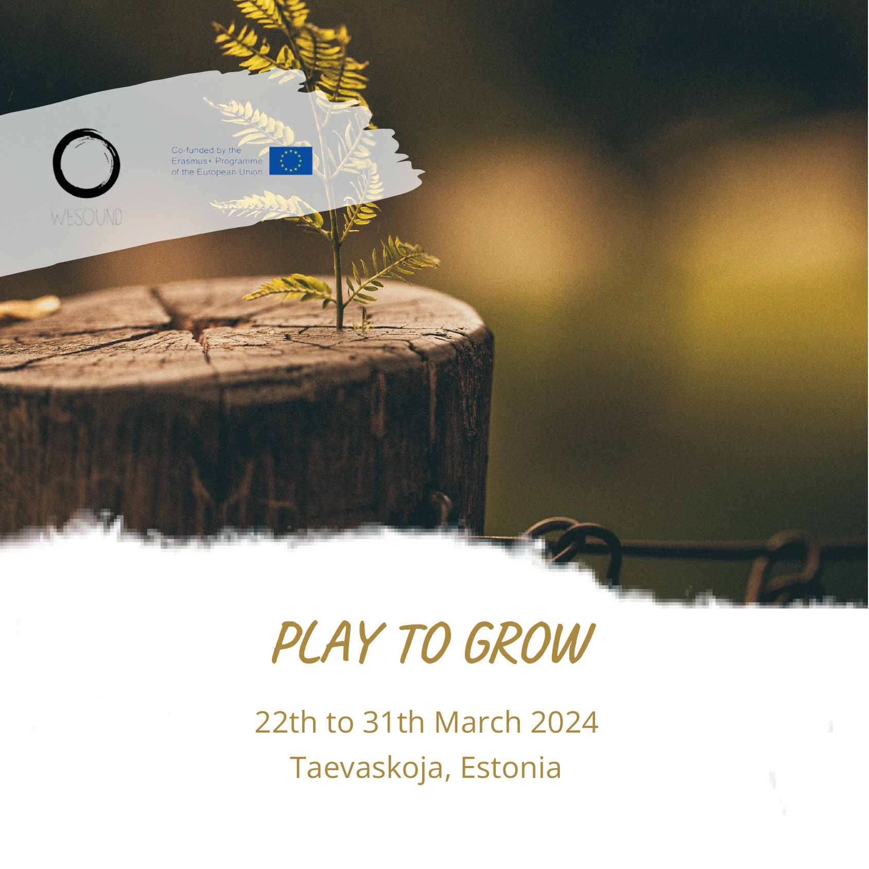 Play to grow